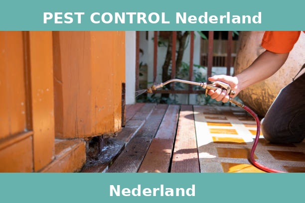 PEST CONTROL Nederland